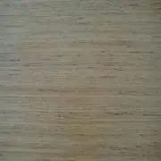 oteの画像