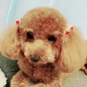 るか
