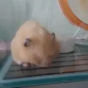 まるく