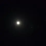 めたるの画像