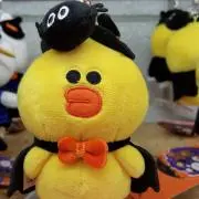0903の画像