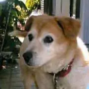 マサヒコ