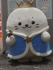 こじみちゃんの画像