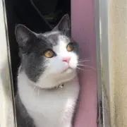 れお✨在庫処分セール中❣️プロフ見てね!の画像