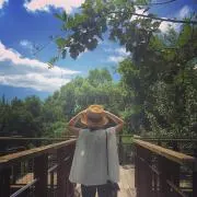 novの画像