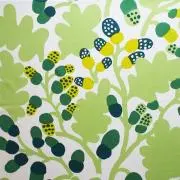 いちじく2koの画像