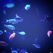 青。