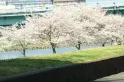 リュウジ
