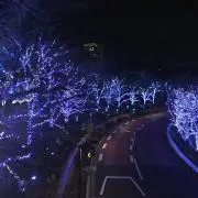 ぽん