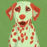ケタケの画像