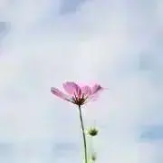 CLOSETの画像