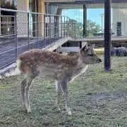 ぱん