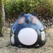 てんちゃんの画像