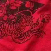 Susie tigerの画像