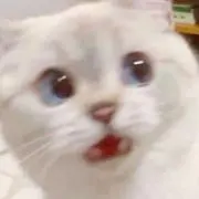 nina