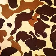 LABの画像