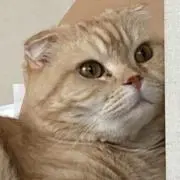 マル