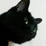 みぃの画像