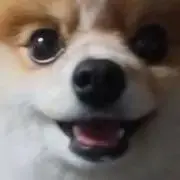 こむこむの画像