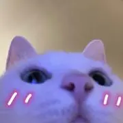 ジュリアナグレイス