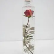 ハチ　☆プロフ要確認☆の画像