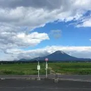 かもめの画像