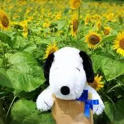 しんえつ☆プロフィール必読☆