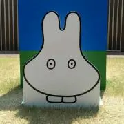 みっふぃ