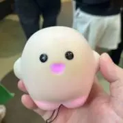 ひろくんの画像