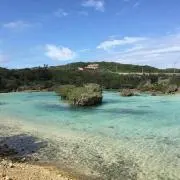 ☆アン☆の画像
