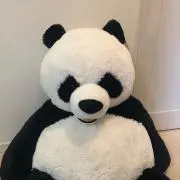 そーすけの画像
