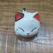 HANAの画像