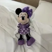 イヴの画像