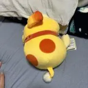 なっぴの画像