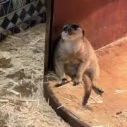 ywyw:]の画像