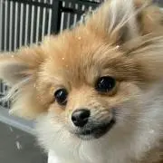 chatohiro