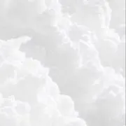ぽいの画像
