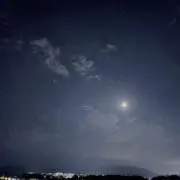 いちごの画像