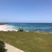 プイマール