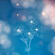 うさっしー➴⡱プロフ一読くださいの画像