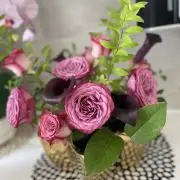 hioの画像