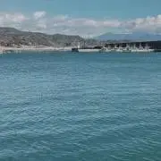 む〜【即購入OK】