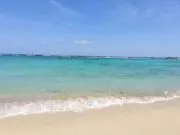 ゆっちの画像