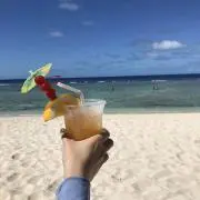 ごまの画像