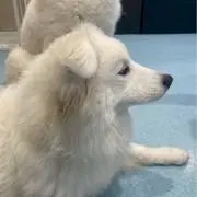 ユカ@引越しのため断捨離中の画像