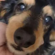 もぷ