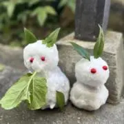 くーちゃん＊の画像