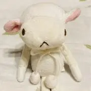 めいの画像