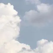 油淋鶏の画像