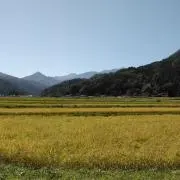 ルカポン様専用ページ☆ - メルカリ